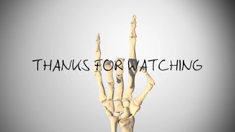 Skeleton Hand Movements Videohive 16637164 Motion Graphics Image 10