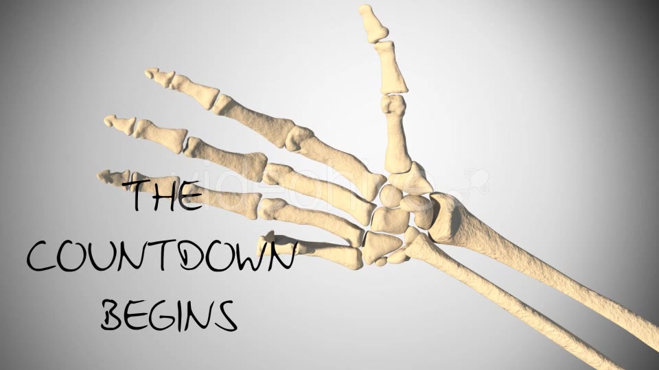 Skeleton Hand Movements Videohive 16637164 Motion Graphics Image 7