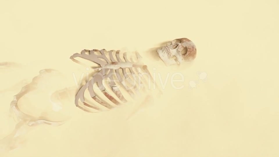 Skeleton on the Desert Videohive 19870254 Motion Graphics Image 2