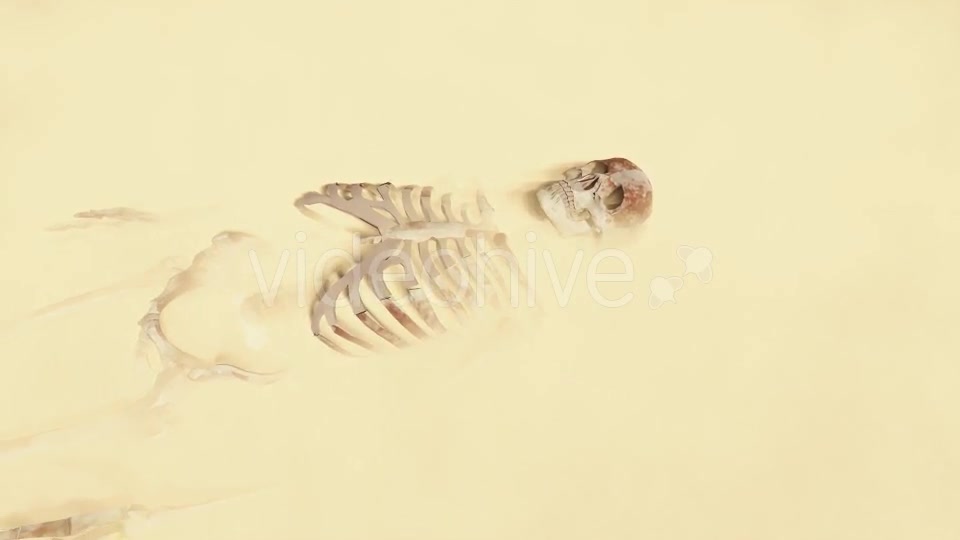Skeleton on the Desert Videohive 19870254 Motion Graphics Image 3