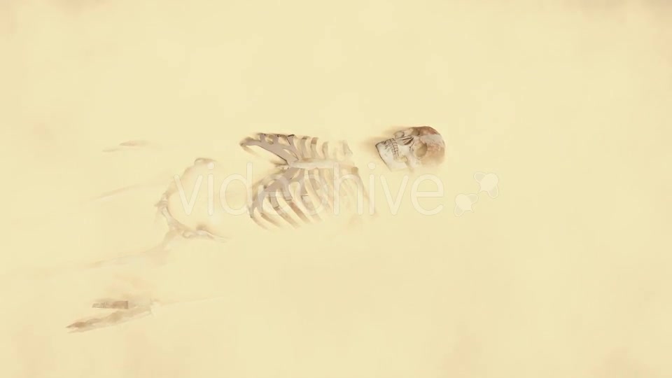Skeleton on the Desert Videohive 19870254 Motion Graphics Image 4
