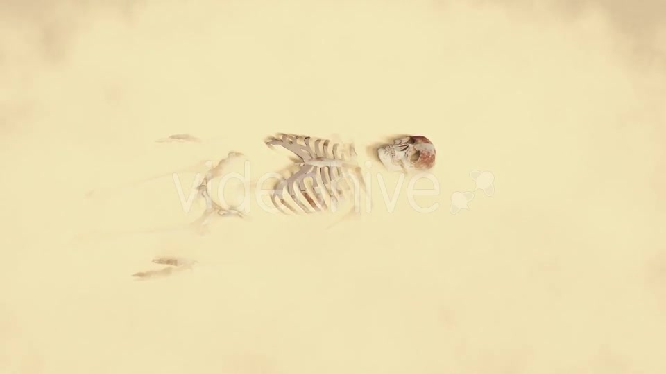 Skeleton on the Desert Videohive 19870254 Motion Graphics Image 5