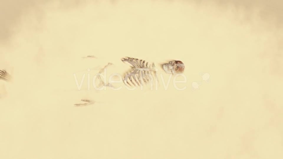 Skeleton on the Desert Videohive 19870254 Motion Graphics Image 6