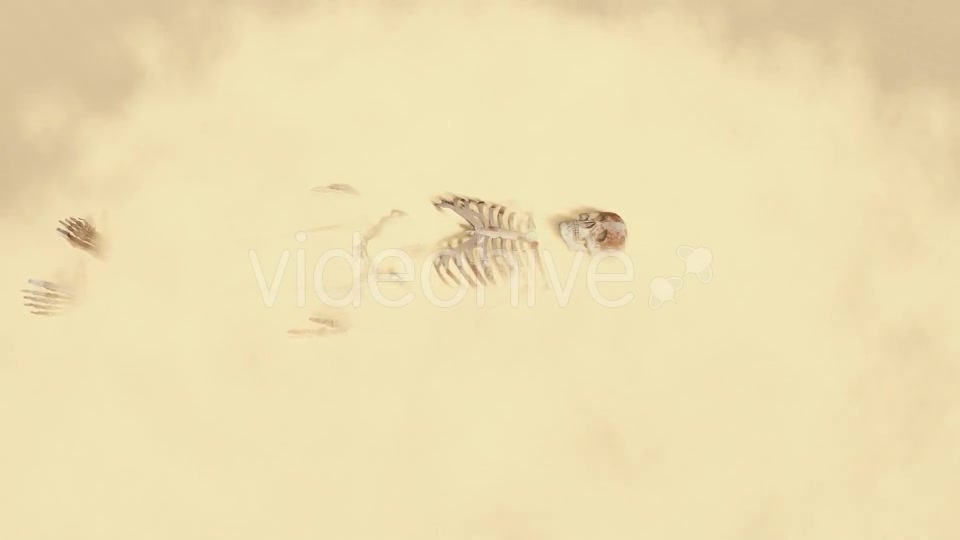 Skeleton on the Desert Videohive 19870254 Motion Graphics Image 7