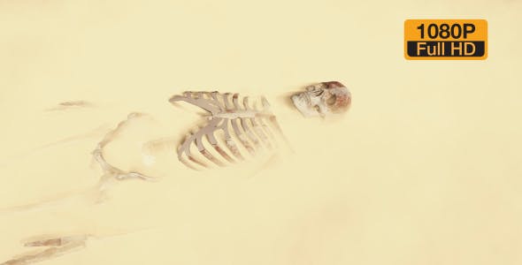 Skeleton on the Desert - 19870254 Download Videohive