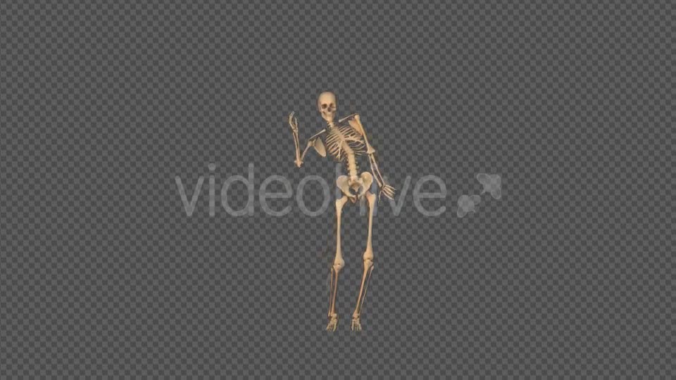 Skeleton Sexy Dance Videohive 18743642 Motion Graphics Image 1