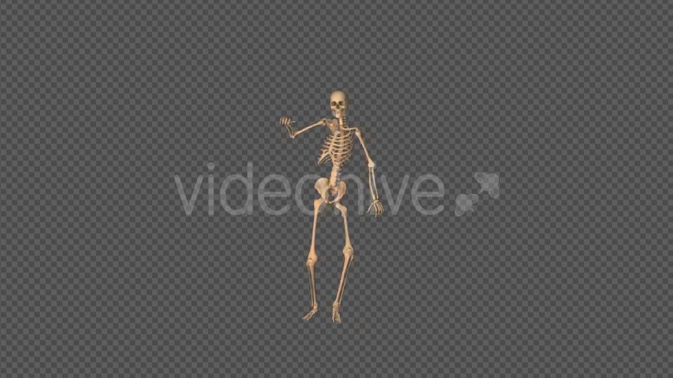 Skeleton Sexy Dance Videohive 18743642 Motion Graphics Image 2