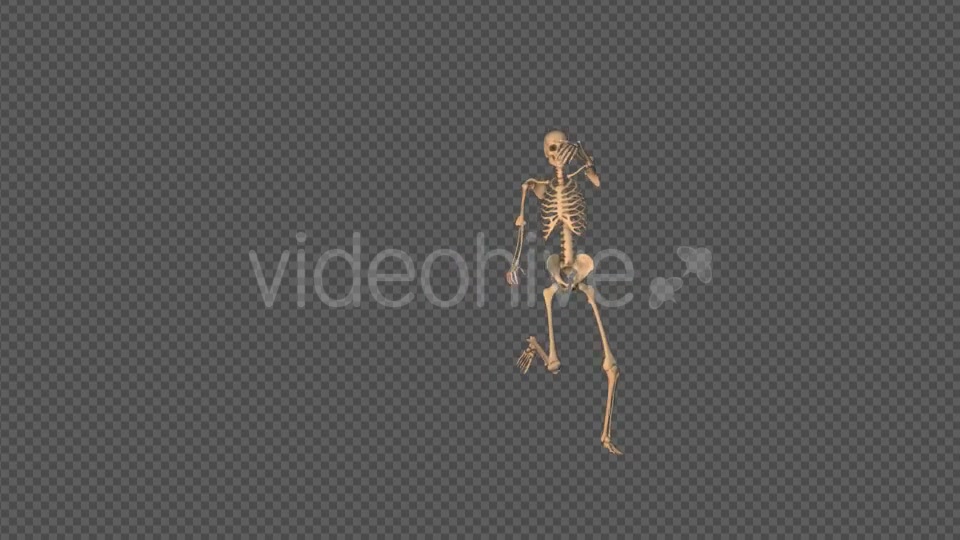 Skeleton Sexy Dance Videohive 18743642 Motion Graphics Image 3
