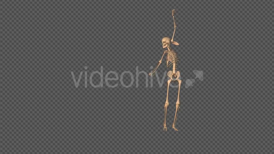 Skeleton Sexy Dance Videohive 18743642 Motion Graphics Image 4