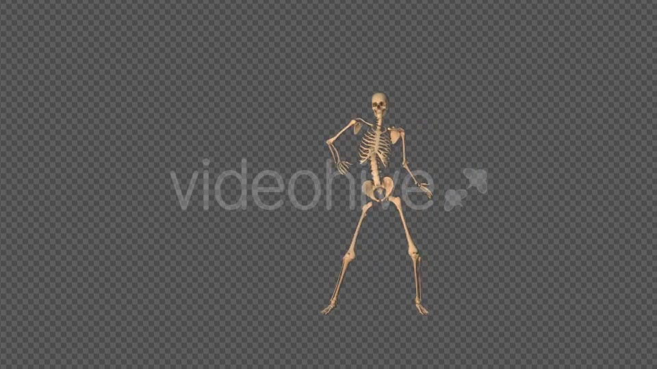 Skeleton Sexy Dance Videohive 18743642 Motion Graphics Image 5
