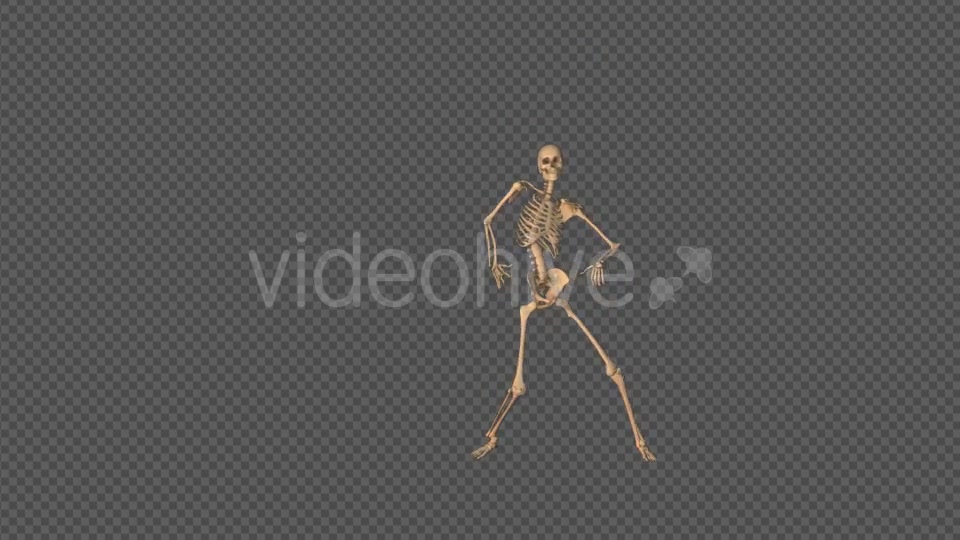 Skeleton Sexy Dance Videohive 18743642 Motion Graphics Image 6