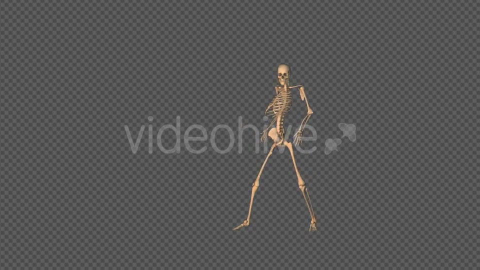 Skeleton Sexy Dance Videohive 18743642 Motion Graphics Image 7