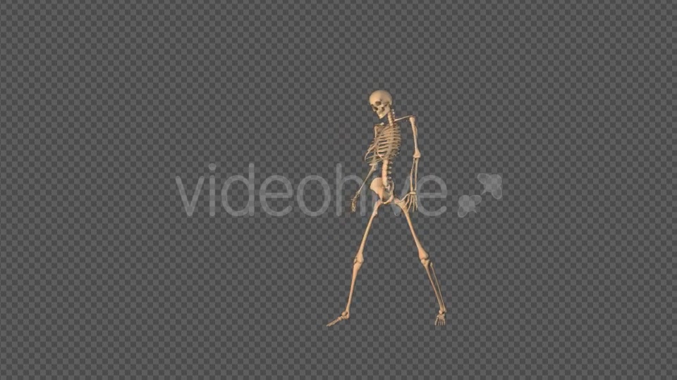 Skeleton Sexy Dance Videohive 18743642 Motion Graphics Image 8