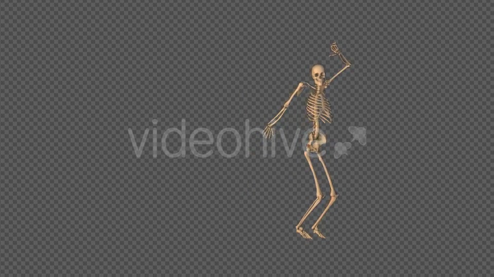 Skeleton Sexy Dance Videohive 18743642 Motion Graphics Image 9
