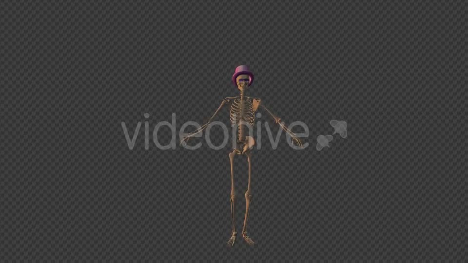 Skeleton Tap Dance Videohive 19204630 Motion Graphics Image 1