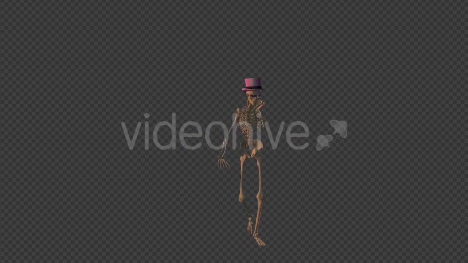 Skeleton Tap Dance Videohive 19204630 Motion Graphics Image 2