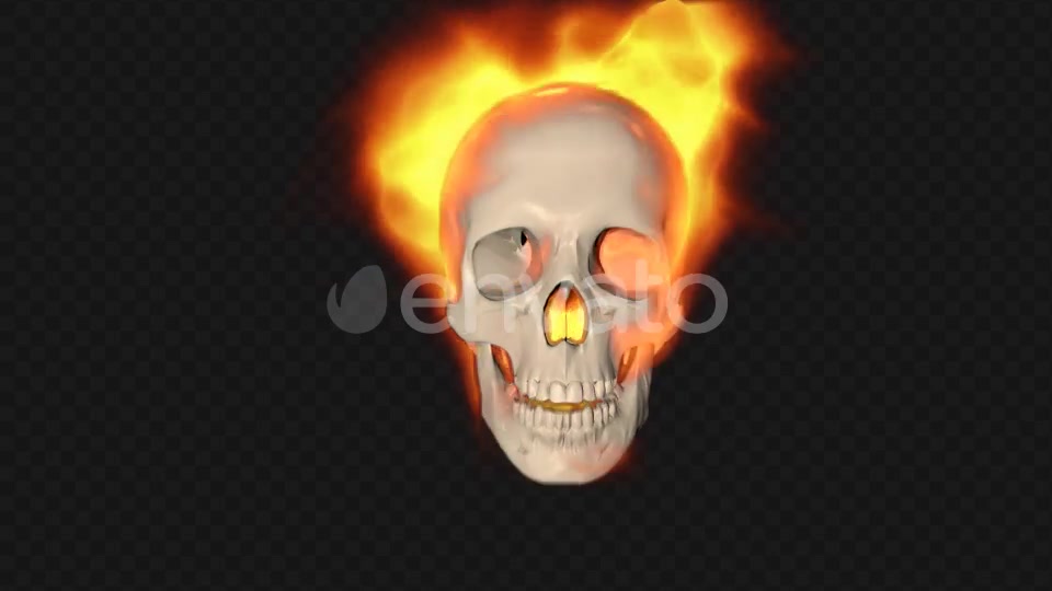 Skull Burning Transition Videohive 22679790 Motion Graphics Image 3