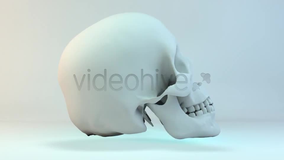 Skull Loop Pack Videohive 5228930 Motion Graphics Image 1