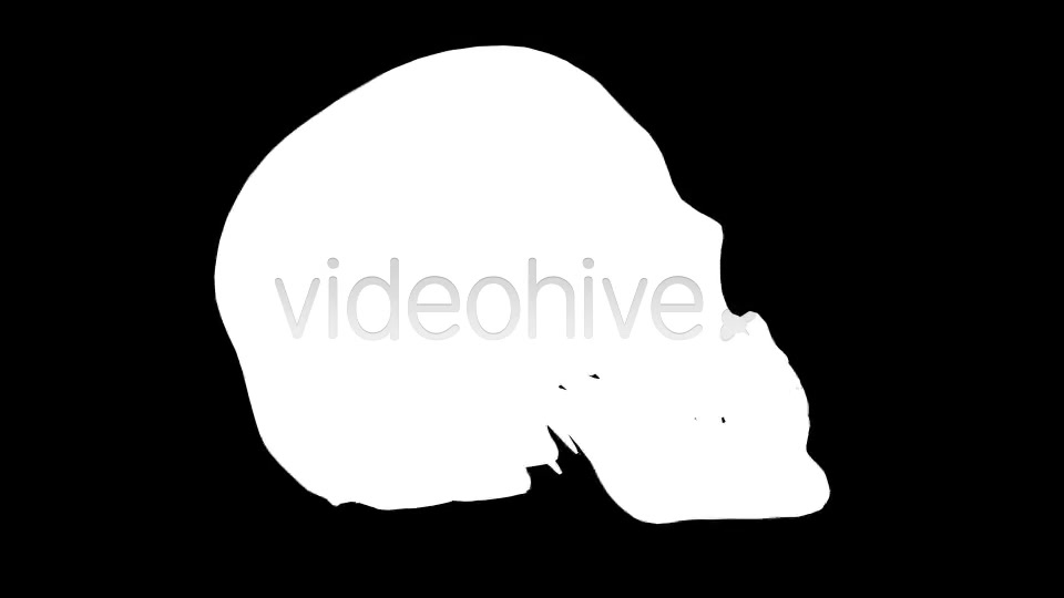 Skull Loop Pack Videohive 5228930 Motion Graphics Image 11