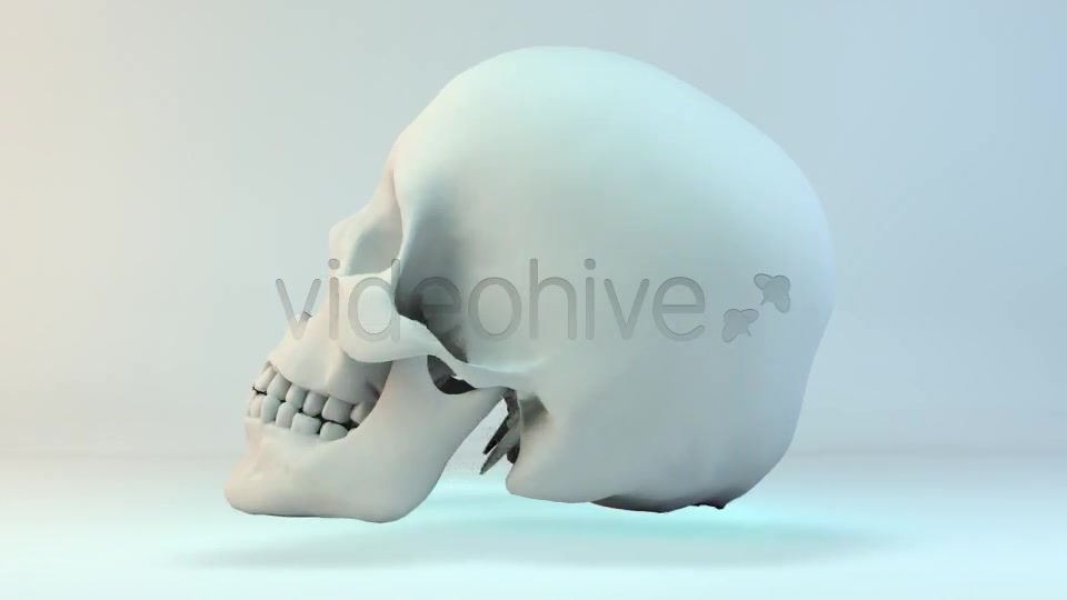 Skull Loop Pack Videohive 5228930 Motion Graphics Image 2