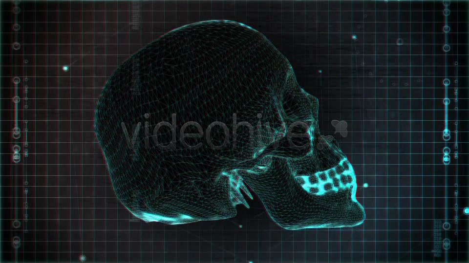 Skull Loop Pack Videohive 5228930 Motion Graphics Image 7