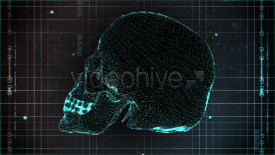 Skull Loop Pack Videohive 5228930 Motion Graphics Image 8