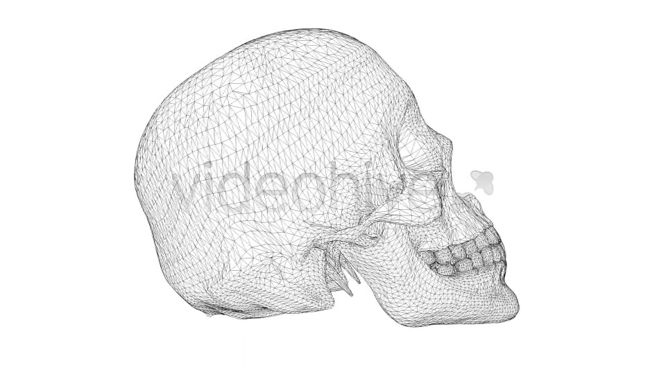Skull Loop Pack Videohive 5228930 Motion Graphics Image 9