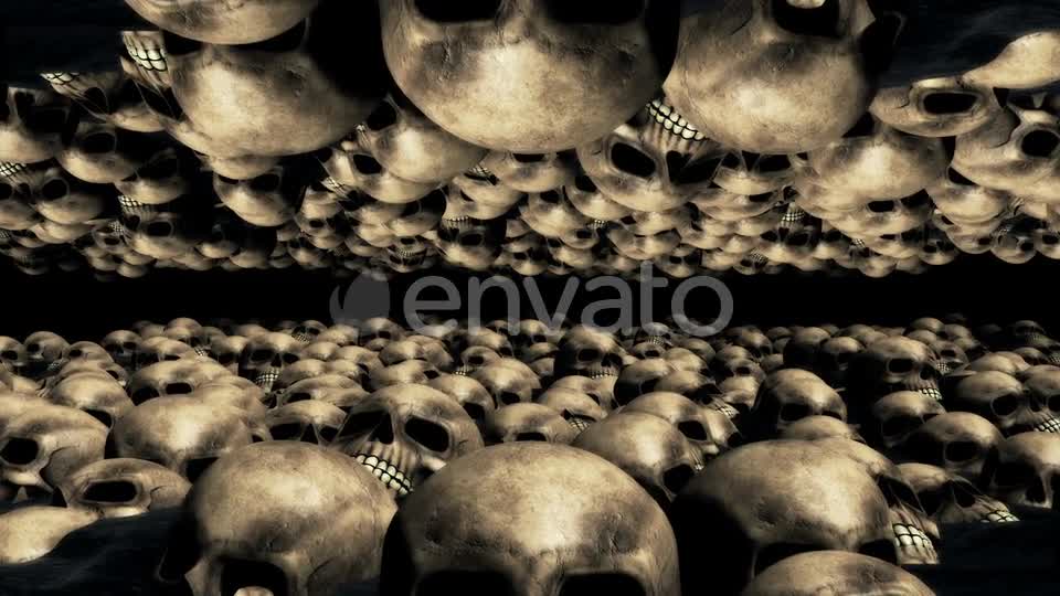 Skull Stream 01 Videohive 22664498 Motion Graphics Image 1