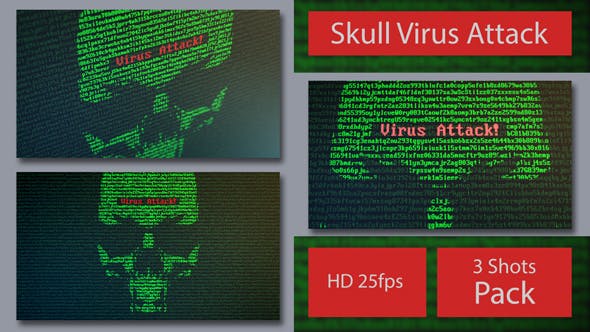 Skull Virus Attack with Random Letters and Numbers on a Computer Screen - Download 20830059 Videohive