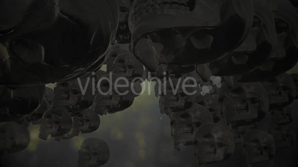 Skulls 04 Videohive 18283032 Motion Graphics Image 3