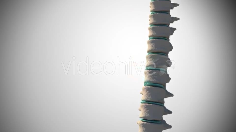 Slipped Disc Videohive 14926997 Motion Graphics Image 2