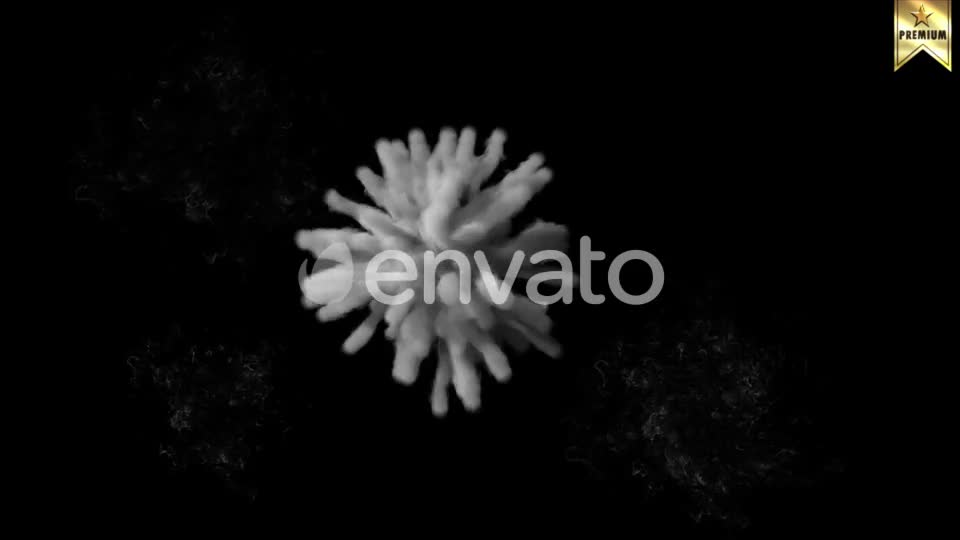 Smoke Explosion Videohive 24639897 Motion Graphics Image 2