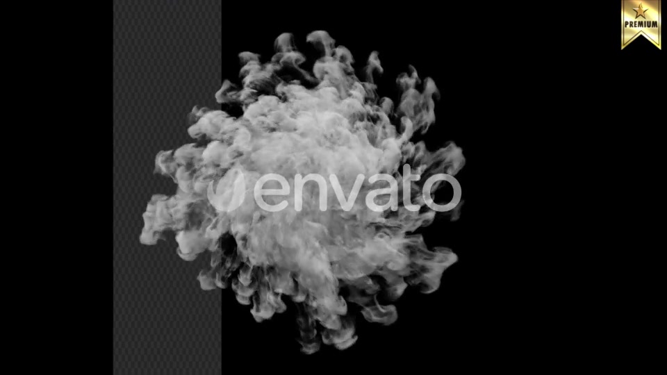 Smoke Explosion Videohive 24639897 Motion Graphics Image 6