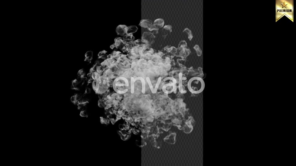 Smoke Explosion Videohive 24639897 Motion Graphics Image 8