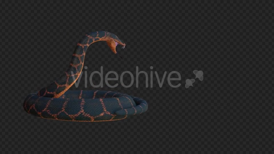 Snake 2 Realistic Videohive 21210589 Motion Graphics Image 2