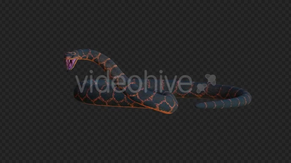 Snake 2 Realistic Videohive 21210589 Motion Graphics Image 5