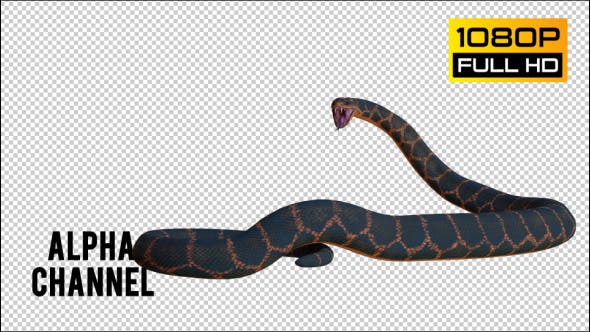 Snake 2 Realistic - Videohive Download 21210589