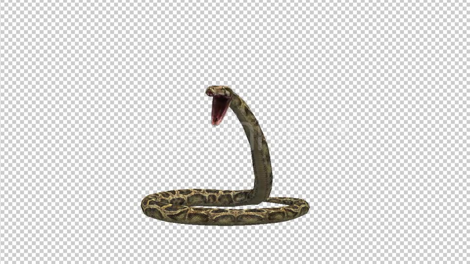 Snake Defence Videohive 21180143 Motion Graphics Image 5