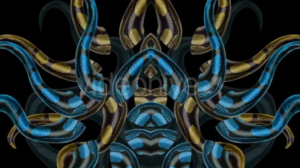 Snake Kaleido 02 Videohive 20877029 Motion Graphics Image 1