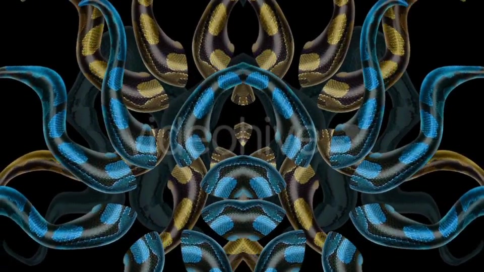 Snake Kaleido 02 Videohive 20877029 Motion Graphics Image 4