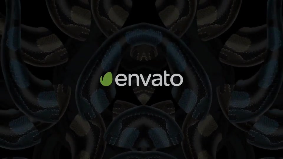 Snake Kaleido 02 Videohive 20877029 Motion Graphics Image 6