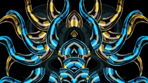 Snake Kaleido 02 - Videohive 20877029 Download