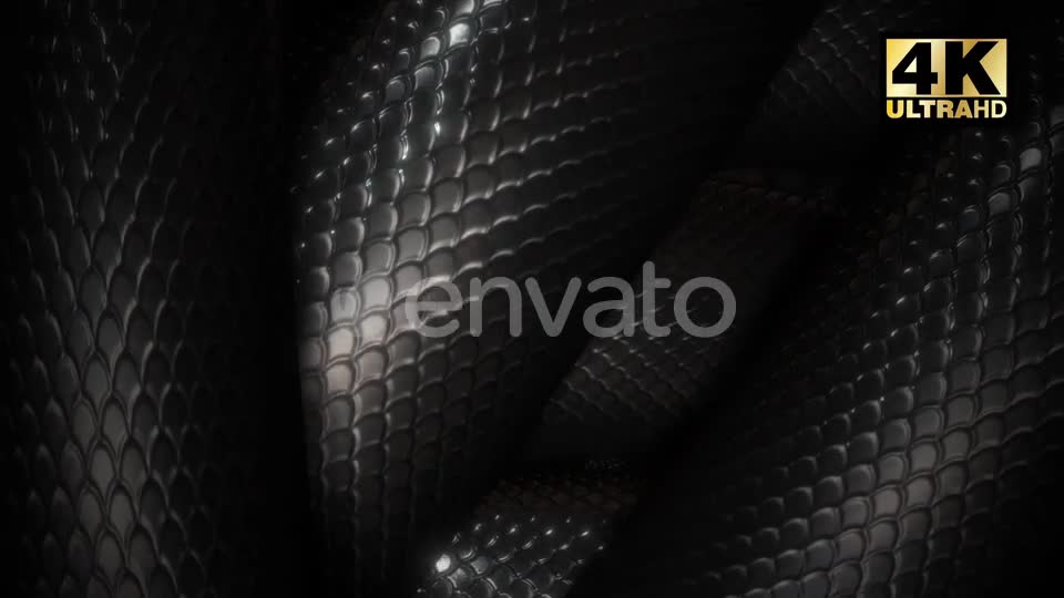 Snake Loop Videohive 24863815 Motion Graphics Image 1