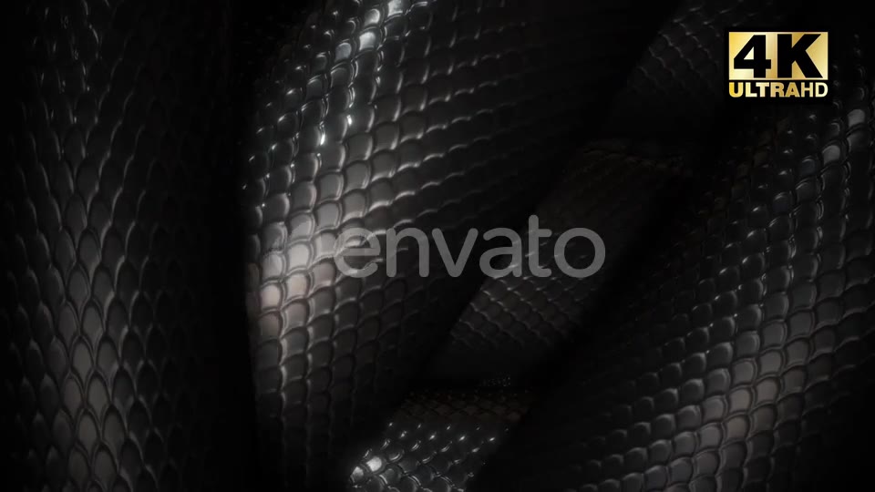 Snake Loop Videohive 24863815 Motion Graphics Image 2