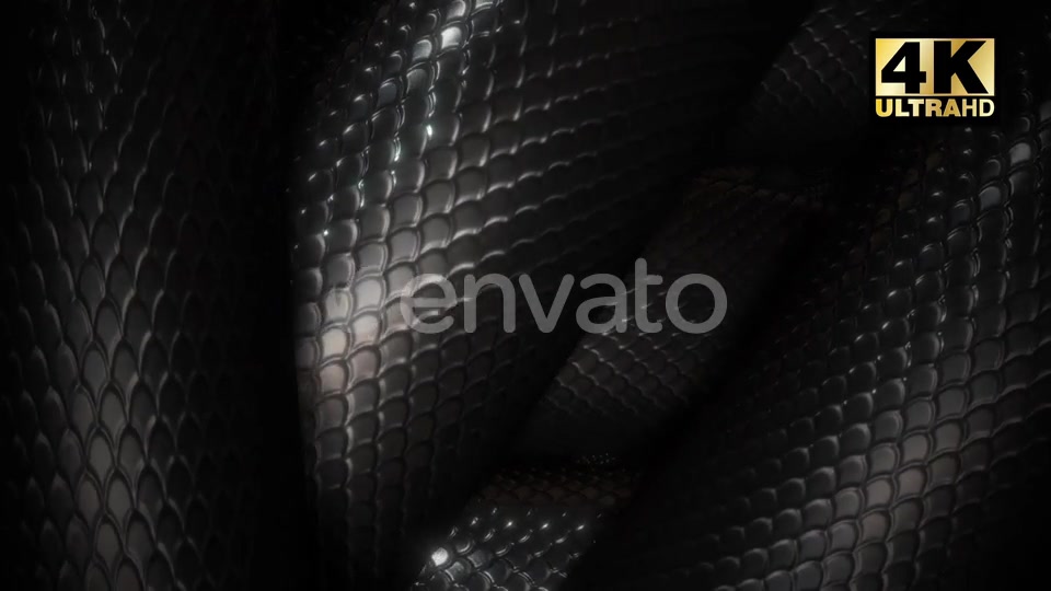 Snake Loop Videohive 24863815 Motion Graphics Image 4