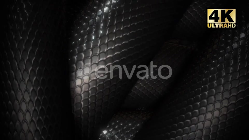 Snake Loop Videohive 24863815 Motion Graphics Image 7