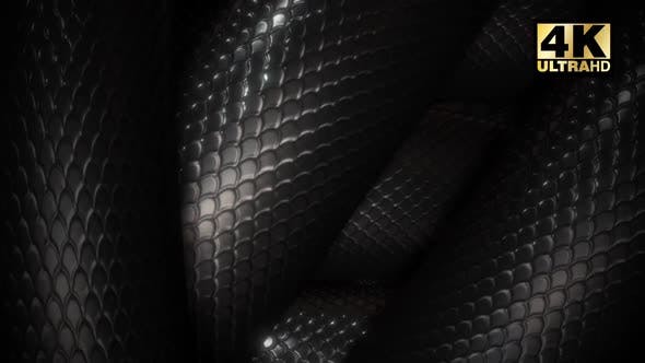 Snake Loop - Download 24863815 Videohive