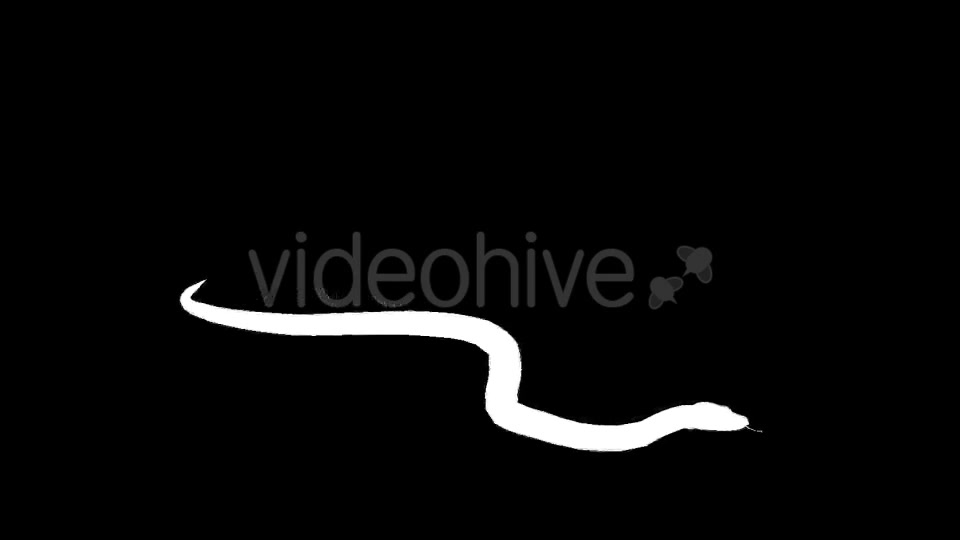 Snake Silhouettes 5 Pack Videohive 21220218 Motion Graphics Image 4