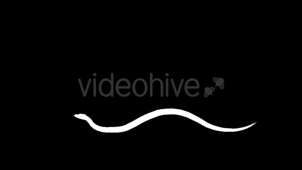 Snake Silhouettes 5 Pack Videohive 21220218 Motion Graphics Image 5