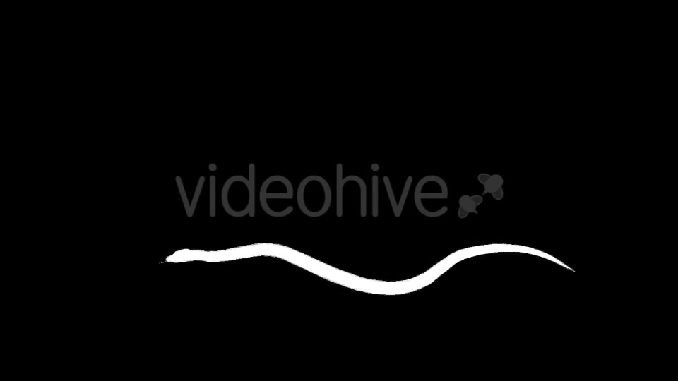 Snake Silhouettes 5 Pack Videohive 21220218 Motion Graphics Image 6